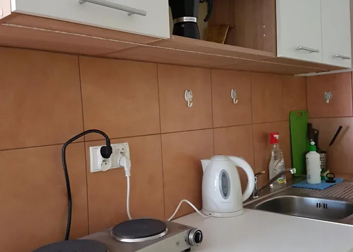 Проживание в семье Moja Gawra *